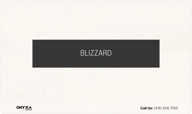 BLIZZARD